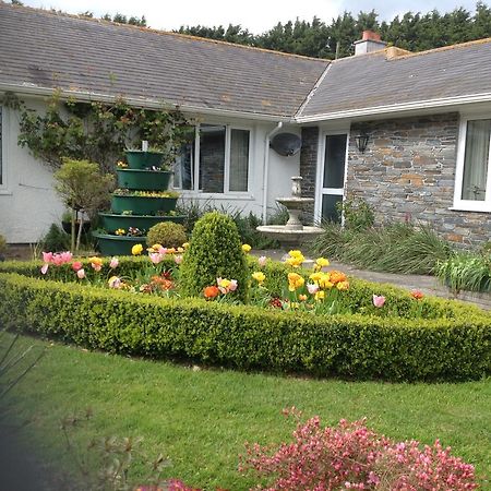 Estuary View Farm Bed & Breakfast Kingsbridge  Dış mekan fotoğraf