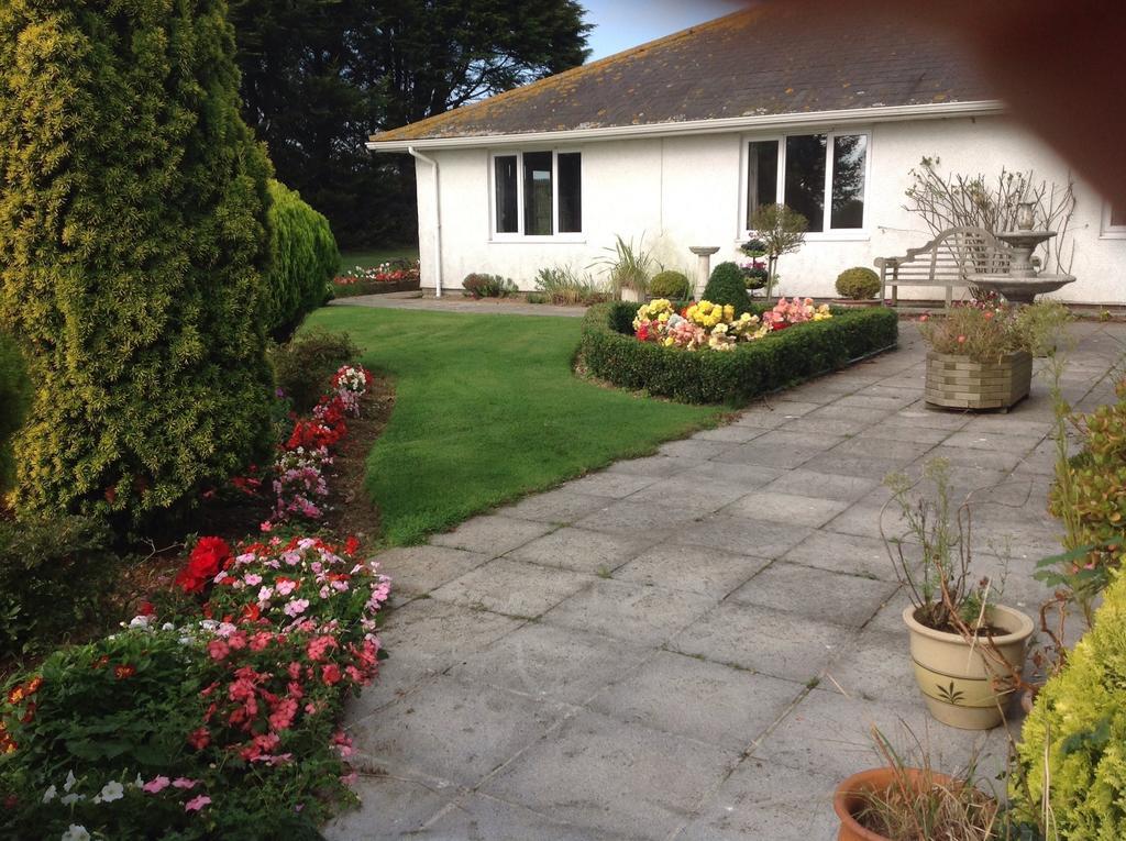 Estuary View Farm Bed & Breakfast Kingsbridge  Dış mekan fotoğraf