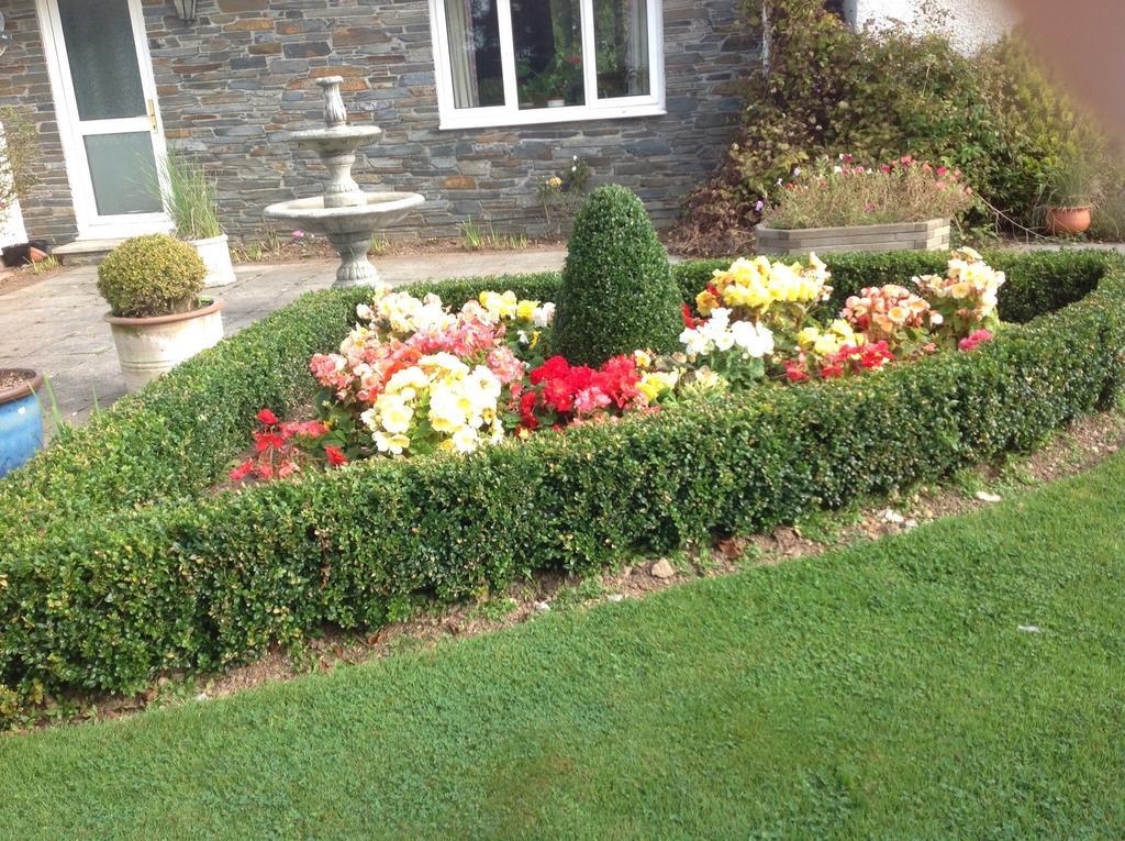 Estuary View Farm Bed & Breakfast Kingsbridge  Oda fotoğraf