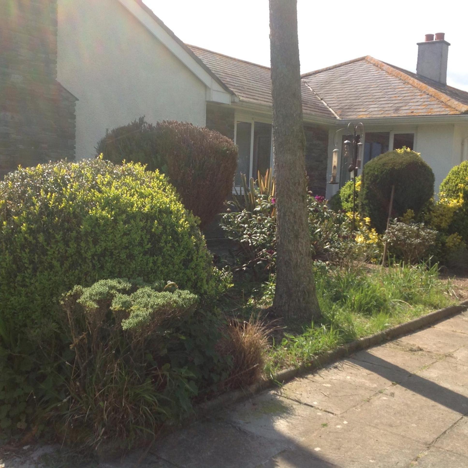 Estuary View Farm Bed & Breakfast Kingsbridge  Dış mekan fotoğraf